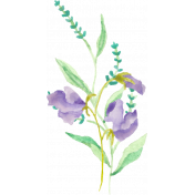 Lilac Aqua Element 30 Watercolor Flowers