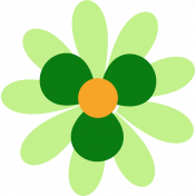 Saint Patrick Flower 06