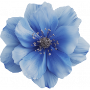 Faith Flower Blue