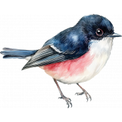 Watercolor Navy Blue and Pink Bird