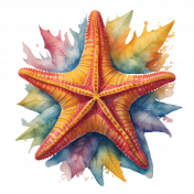 Starfish Watercolor