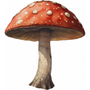 Mushroom 2