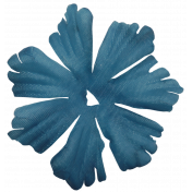Colore Blu Blue Flower