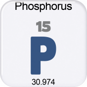 Genius Periodic Table 15 Phosphorus