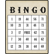 hisstory_vintage bingo Card