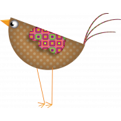 Brown Bird
