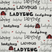 Ladybug Love Paper 02