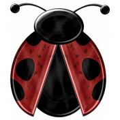 Ladybug 01 