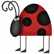 Ladybug 02