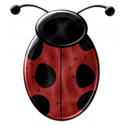 Ladybug 06