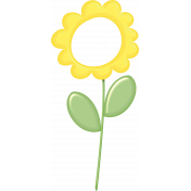 Yellow Flower Frame
