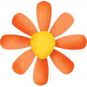 Orange Flower 