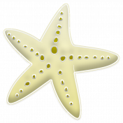 Mermaid- starfish 02