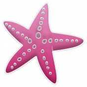 Mermaid- starfish 04