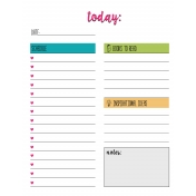 Daily Planner (multi color)