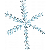 BICO snowflake (01)