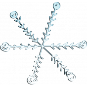 BICO snowflake (03)