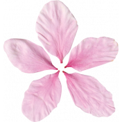 Pink Flower Petals (01)