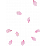 Pink Flower Scatter (02)