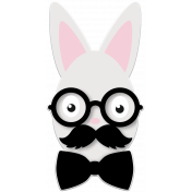 Hopster Bunny (03)