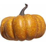 Pumpkin Patch Gourd 01