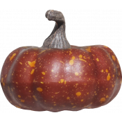 Pumpkin Patch Gourd 04