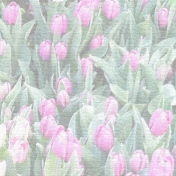 Tulip Paper