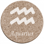 Aquarius Coaster 