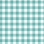 Dk Aqua Gingham