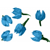 Flower Buds Scatter Blue