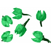 Flower Buds Scatter Green