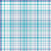 June 2021 blue & Purple Plaid