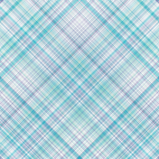 June 2021 diagonal plaid 