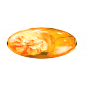 Orange Bead