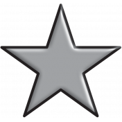 Gray Star with Black Border