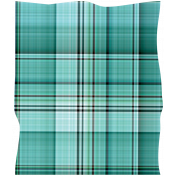 Green Plaid Fabric Scrap