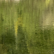 Lakeside Getaway Paper- Tree Reflection