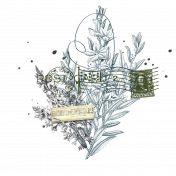 PS BT Feb 2021 Overlay 3