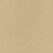 Kraft Seamless Paper 11