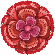 lacy red flower