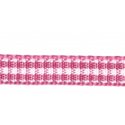 Spookalicious- Pink Gingham Ribbon