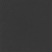 Furry Friends- Kitty- Solid Black Paper