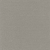 Furry Friends- Kitty- Solid Gray Paper