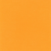 Furry Friends- Kitty- Solid Orange Paper