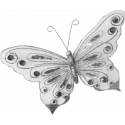 Shine- Butterfly Template