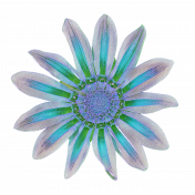 Blue flower daisy