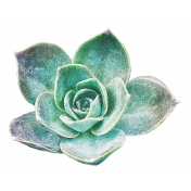 Fresh Start Elements- Succulent