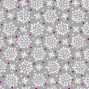 Stina 2022- Snowflake paper