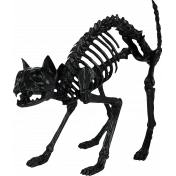 Halloween Black Cat Skeleton