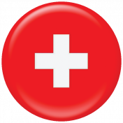 Switzerland Flag Flair Brad